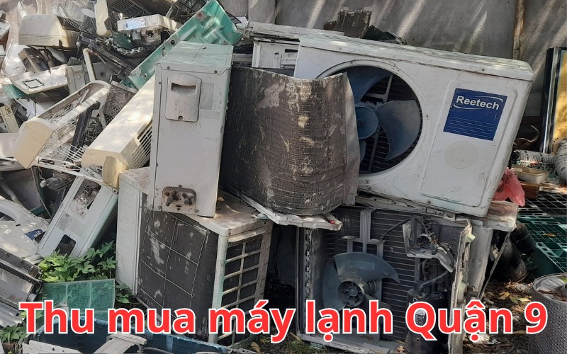 thu-mua-may-lanh-quan-9