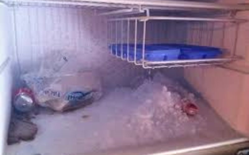 tu-lanh-lg-qua-lanh-thuc-pham-dong-da