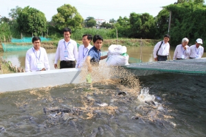 may lam lanh nuoc ho ca