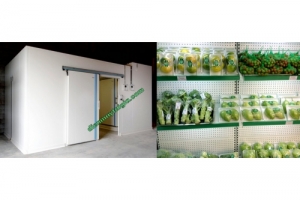 kho lạnh bảo quản thực phẩm