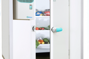 kho lạnh bảo quản trái cây