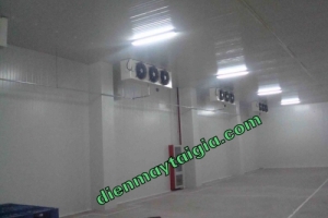 kho lạnh bảo quản trái cây