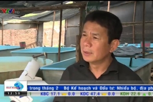 Máy làm lạnh nước hồ cá