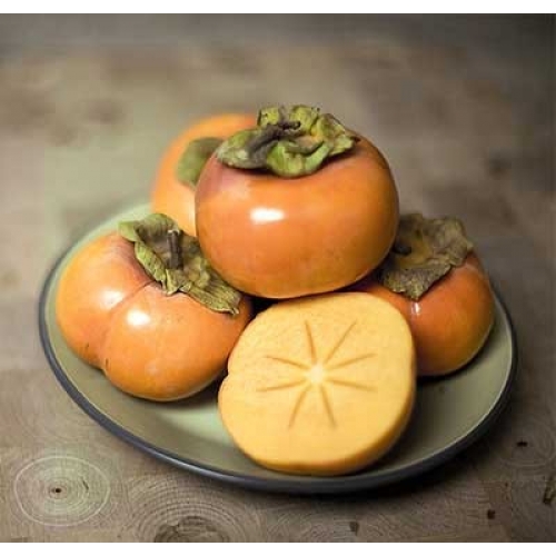 Hồng giòn bảo quản kho lạnh mini KEEN nhập khẩu Nhật cao cấp