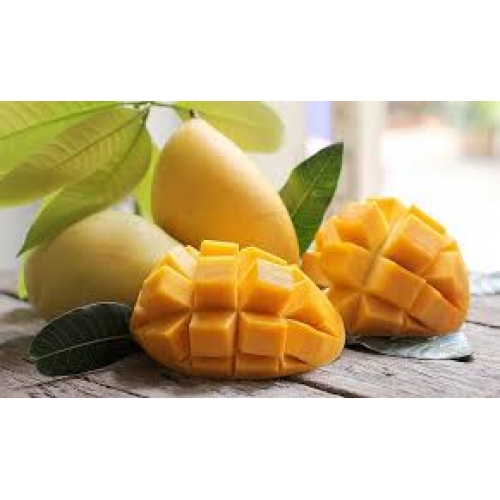 Bảo quản trái xoài bằng Kho lạnh mini xuất khẩu sang Mỹ tuyển chọn số lượng lớn