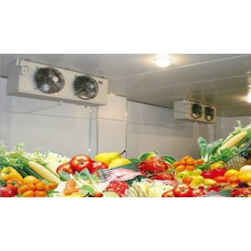 Thực phẩm hữu cơ organic bảo quản kho lạnh mini KEEN